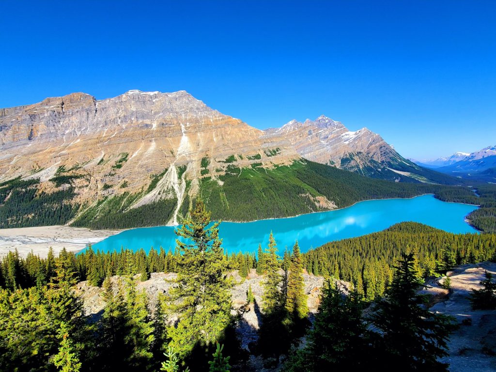 View of Peyto Lake, Columbia Icefields.