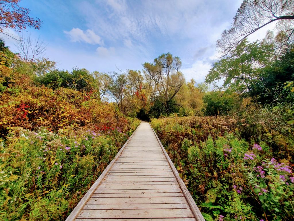 Hungry Hollow Trail, Georgetown, Ontario