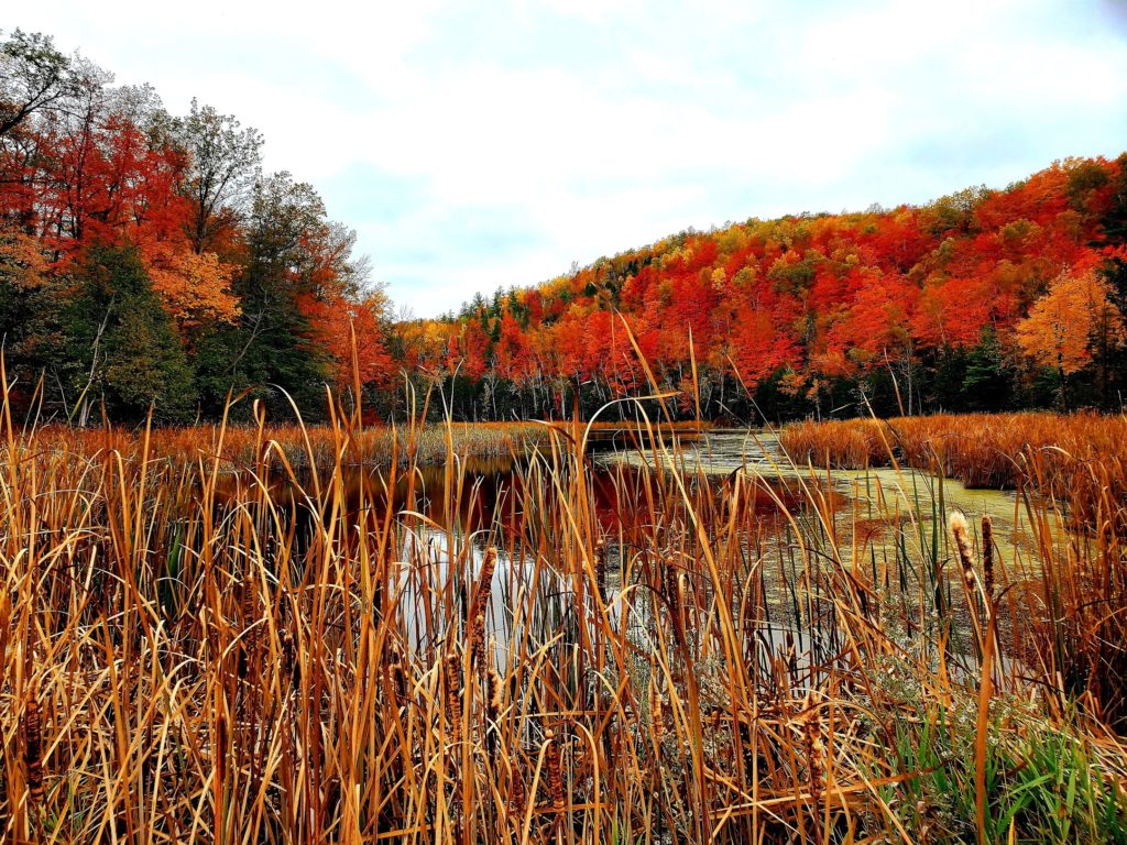 Silver Creek Conservation Area