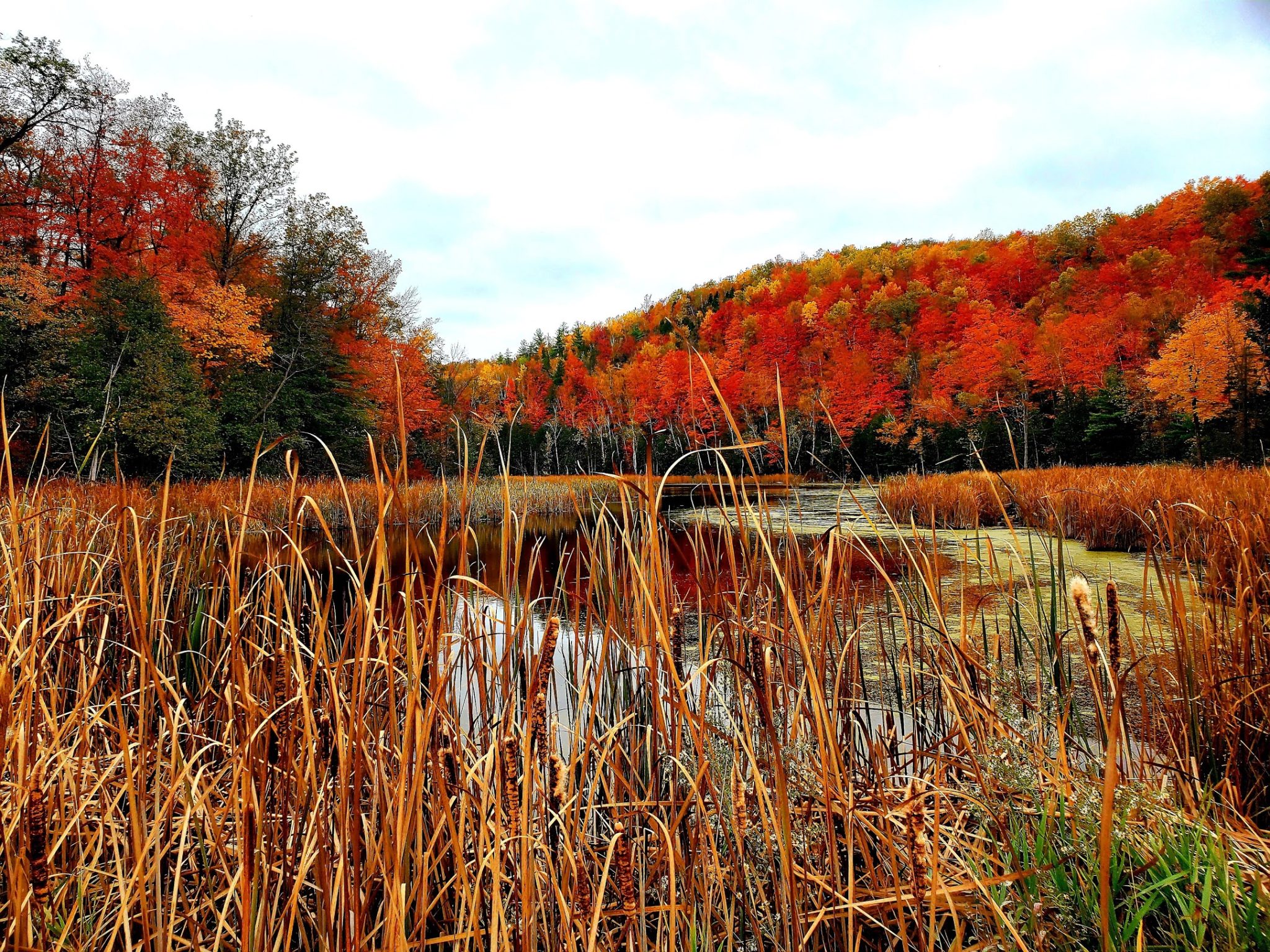 TOP 4 FALL SEASON HIKING TRAILS IN GEORGETOWN, ON - GoHikeTravel