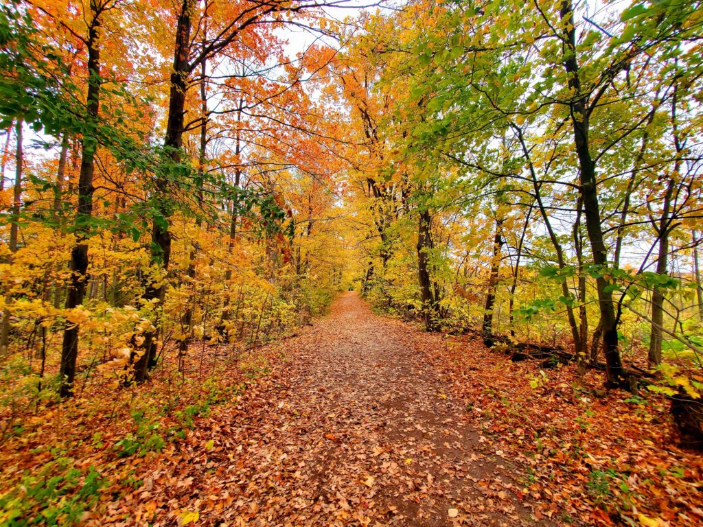 Bennett Hiking Trail, Georgetown, Ontario