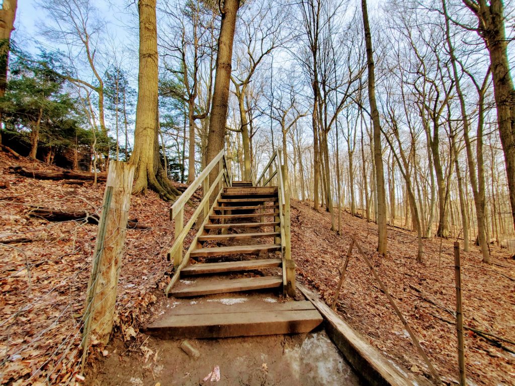 Staircase on the loop in Sherwood Park, Midtown Toronto