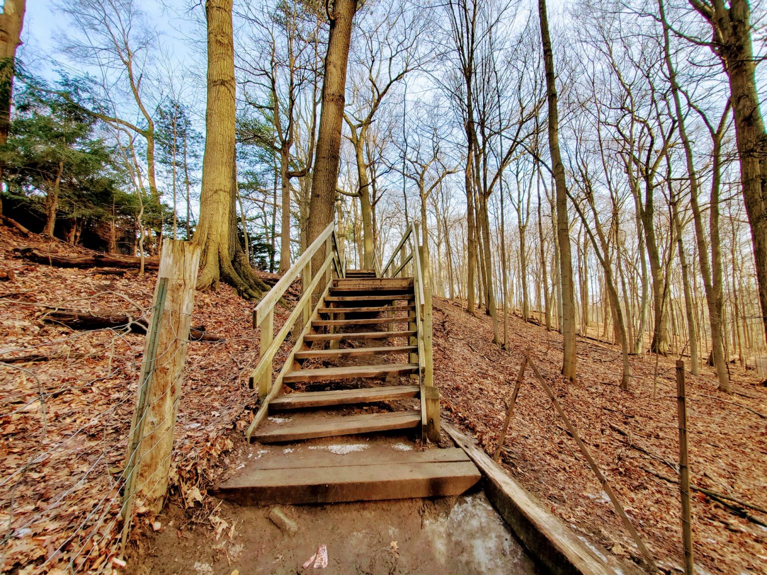 Explore The Serene Oases: A Guide To Sherwood Park's Enchanting Parks
