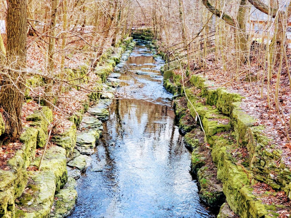 Burke Brook flows from under Yonge Street and into the West Don River.