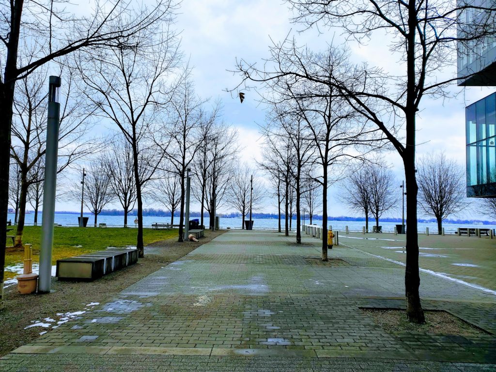 Pathway from Paul Quarrington Ice rink facing south toward the lake.